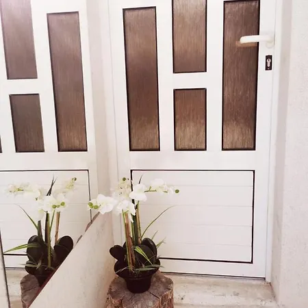 Apartment My Wish